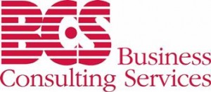 Business Consulting Services