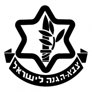 Israel Defense Forces (IDF)